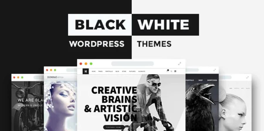 lập trình web wordpress Black & white